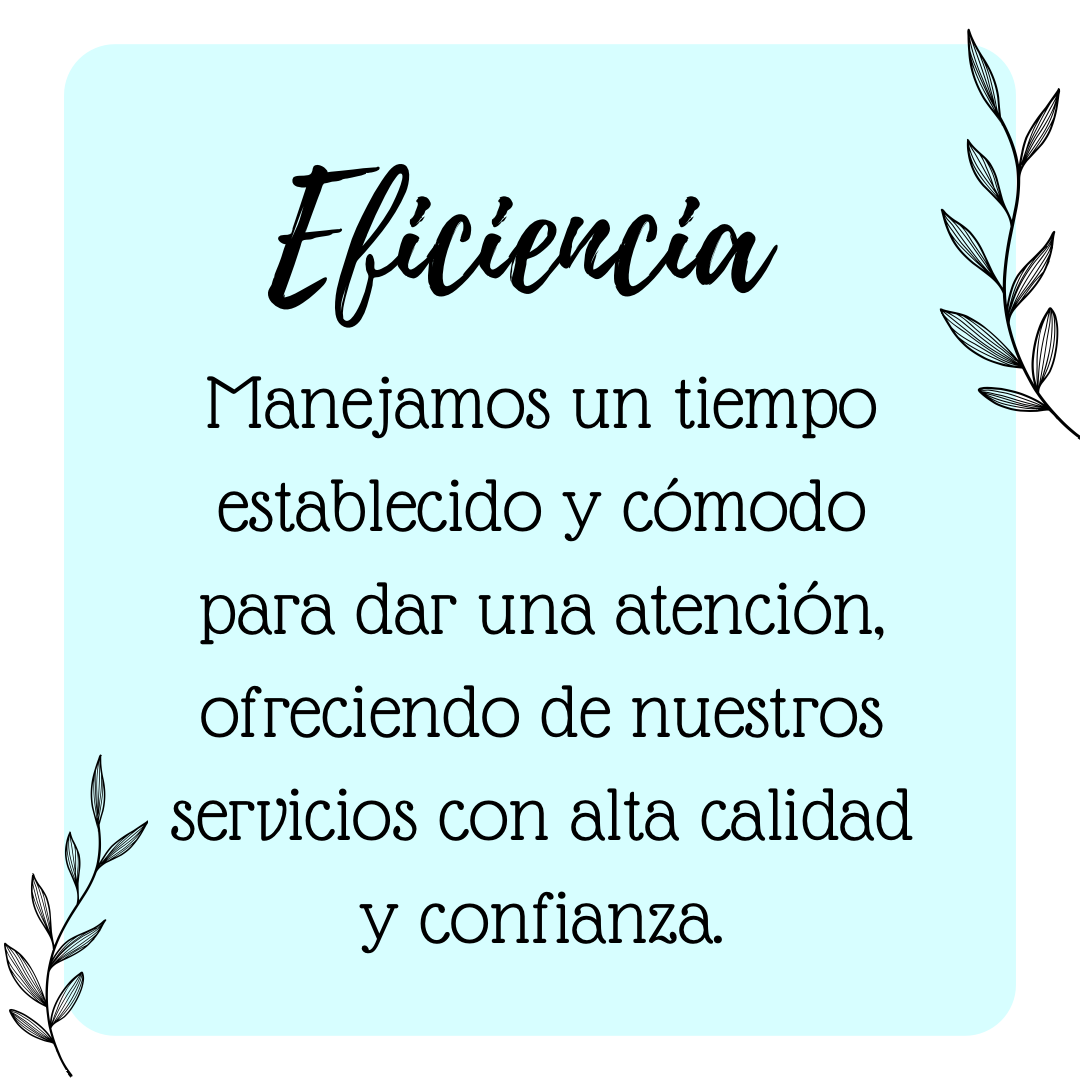 2. Eficiencia