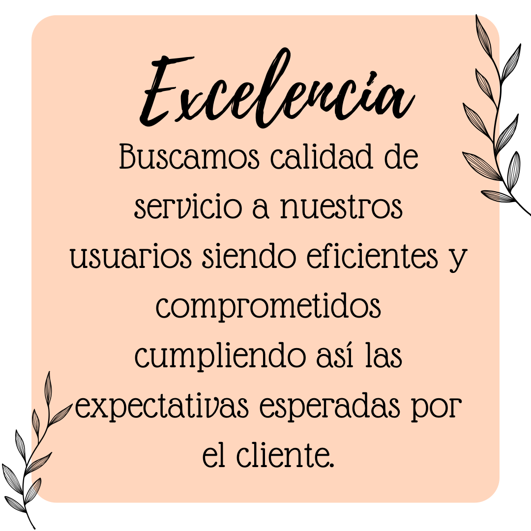 3. Excelencia