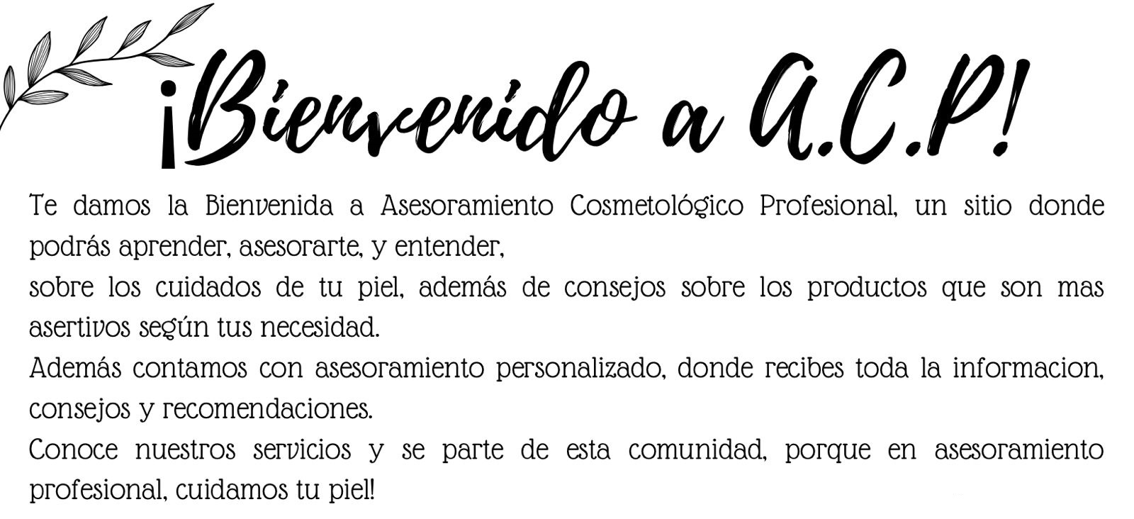 WhatsApp Image 2022-11-03 at 19.45.06