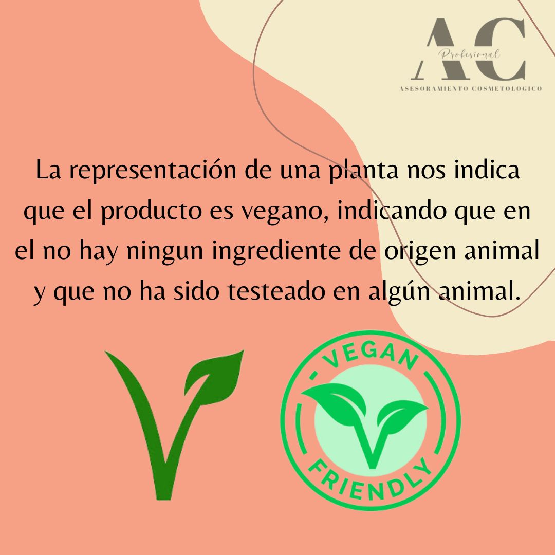 WhatsApp Image 2022-11-10 at 18.32.01 (1)