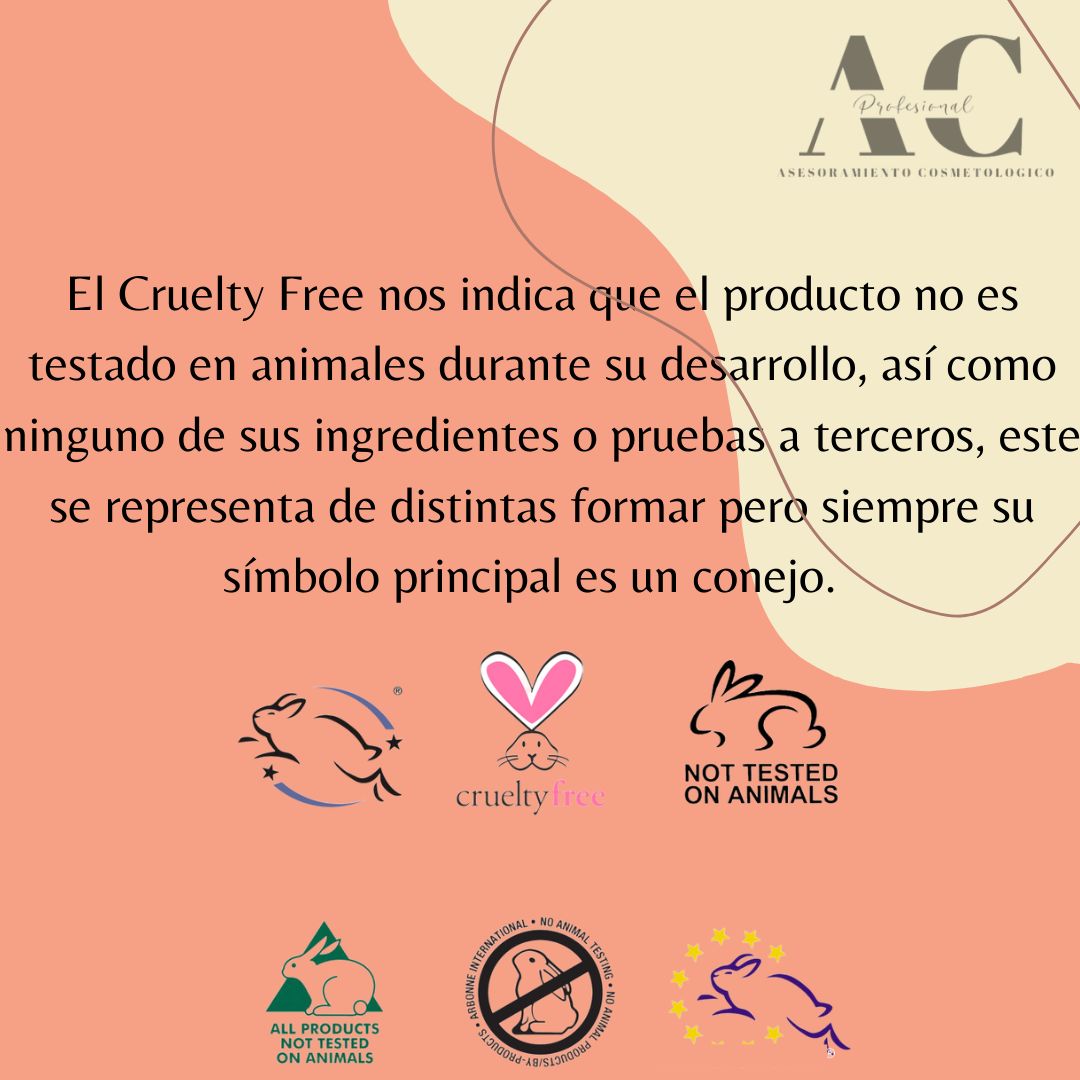 WhatsApp Image 2022-11-10 at 18.32.01 (2)