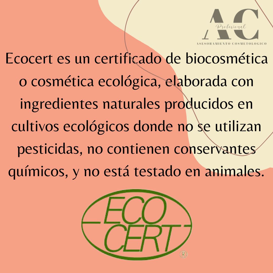 WhatsApp Image 2022-11-10 at 18.32.02